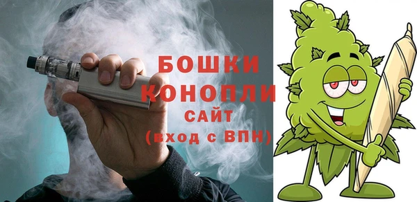 гидра Верея