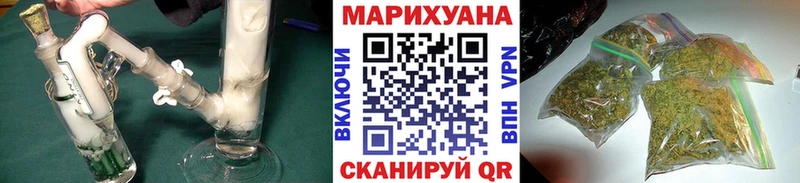 Купить  Ахтубинск  Конопля индика 